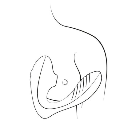 Stimulateur point G et clitoris ROMP Reverb