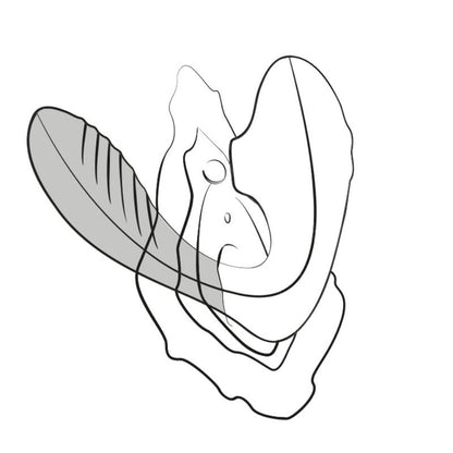 Stimulateur point G et clitoris ROMP Reverb