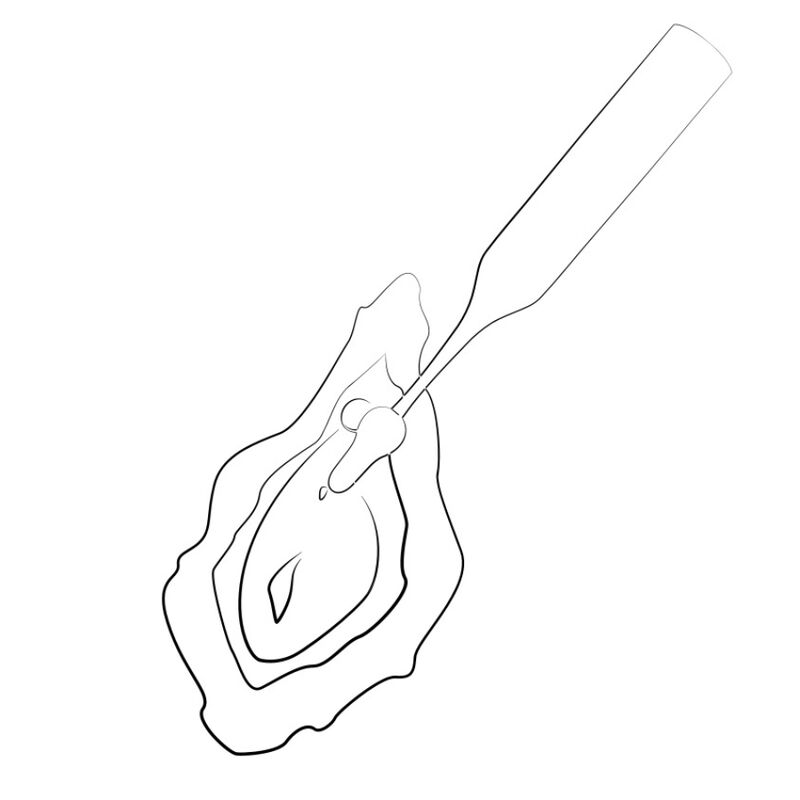 Stimulateur clitoridien ROMP Pop