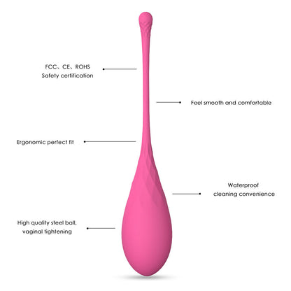 LESLIE - KEGEL FIT ENSEMBLE D'ENTRAÎNEMENT MUSCULAIRE PELVIEN 6 PCS